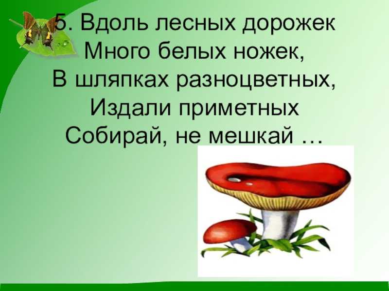 Не мешкая ни минуты ребята собрали. Пришвин старый гриб иллюстрации. Произведения Пришвина старый гриб.