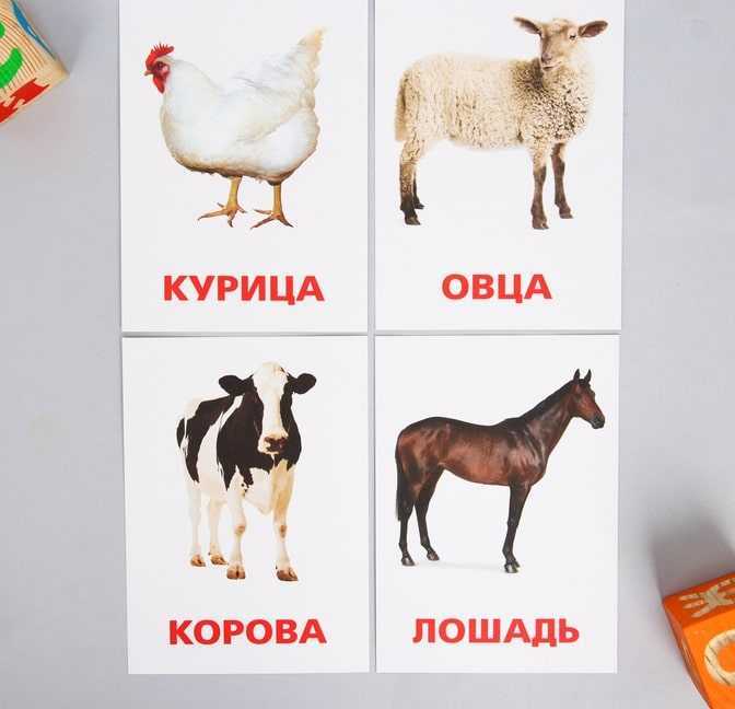 Карточки домана для самых маленьких - скачать бесплатно