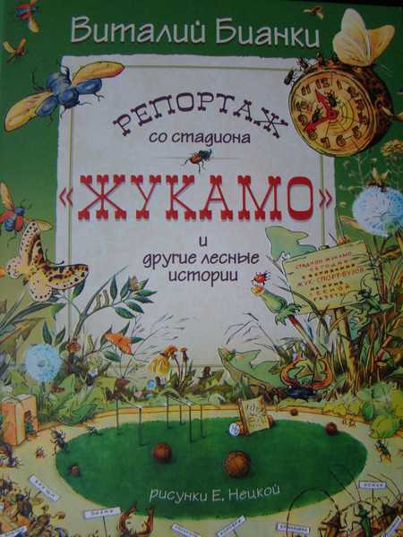 Репортаж со стадиона жукамо