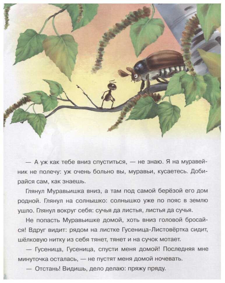Как муравьишка домой спешил ~ сказка виталия бианки
