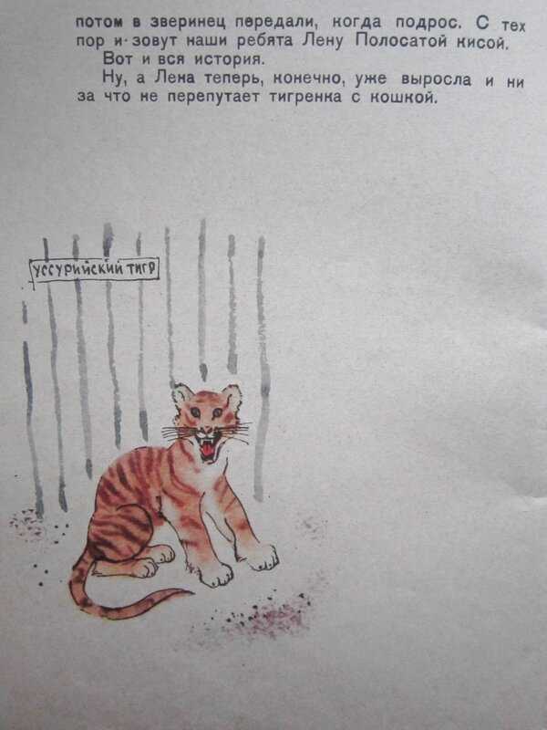Сергей баруздин: рави, шаши, снежок и другие