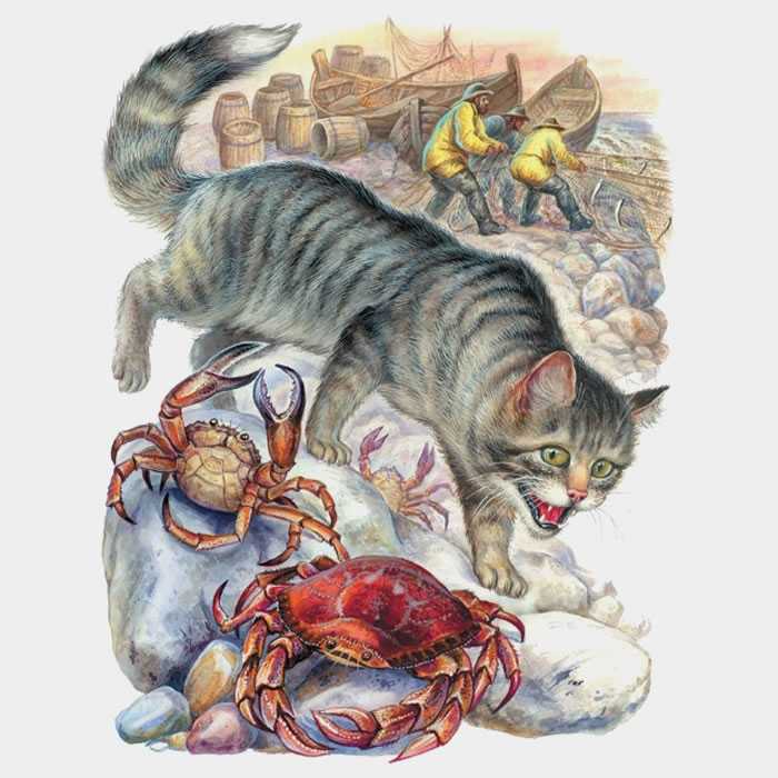 Беспризорная кошка / б.с. житков - читать онлайн, скачать, печатать текст