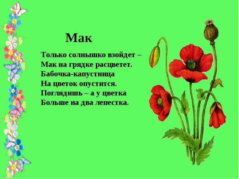 Раскраски цветы – распечатать или скачать