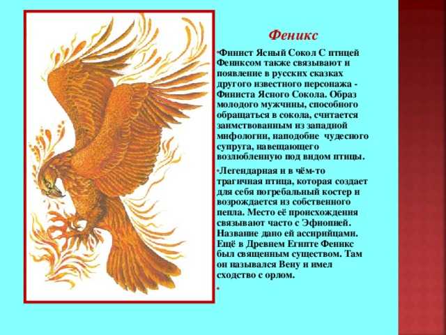 Краткое содержание «финист — ясный сокол» платонова а.п.