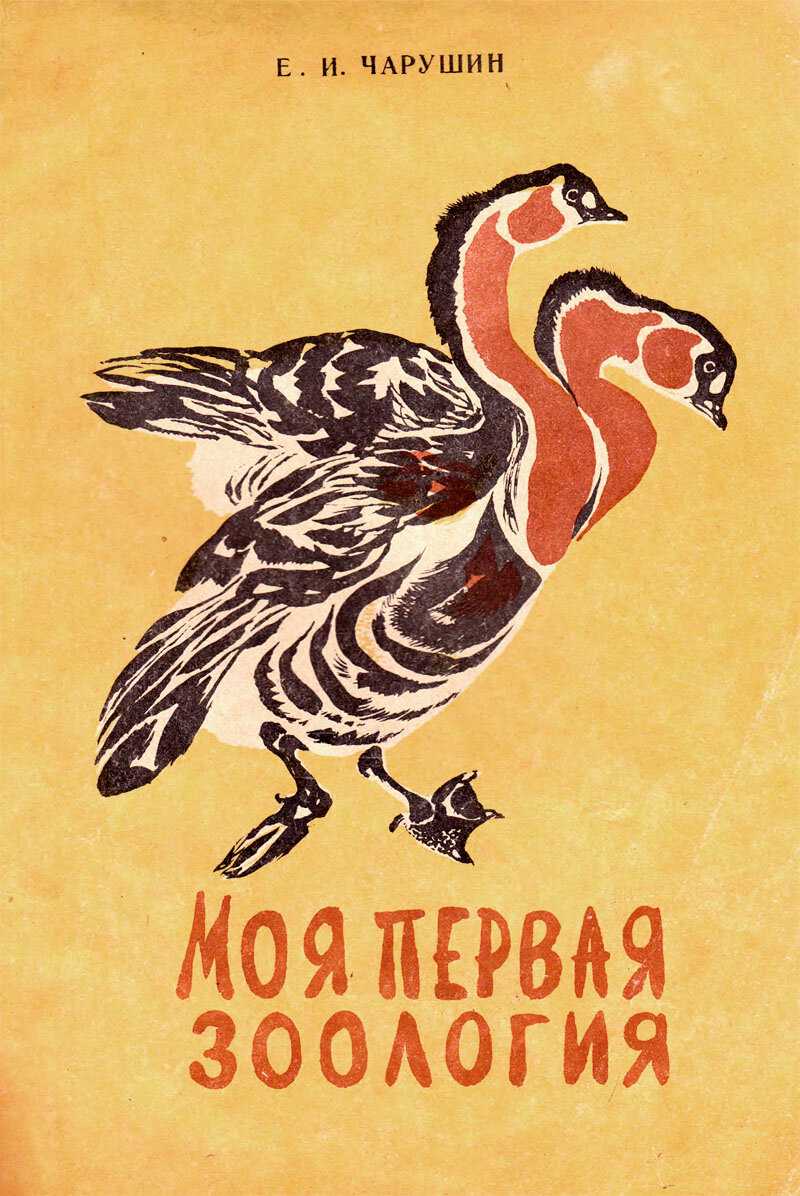 Рассказ медведь-рыбак читать онлайн полностью, чарушин е. и. для детей