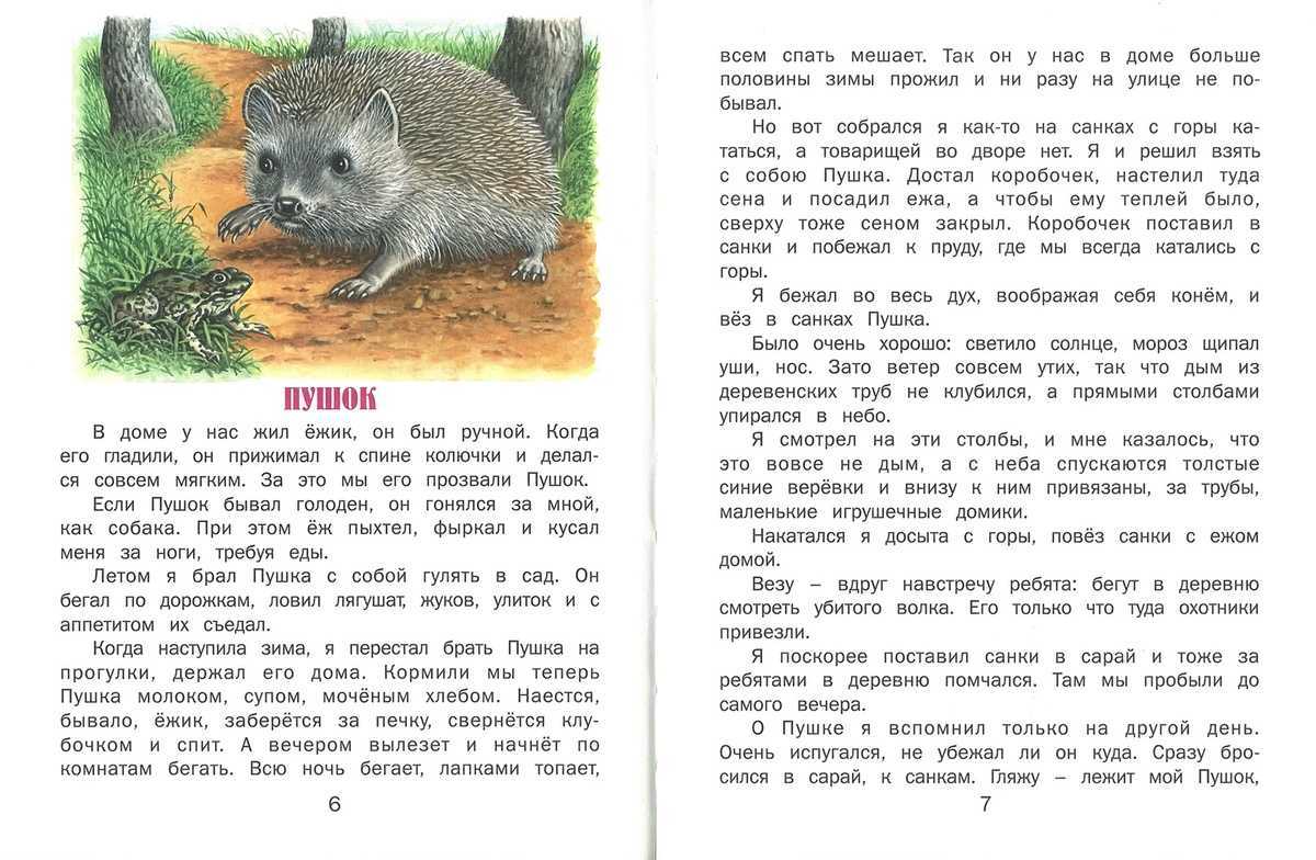 Сорока - георгий скребицкий