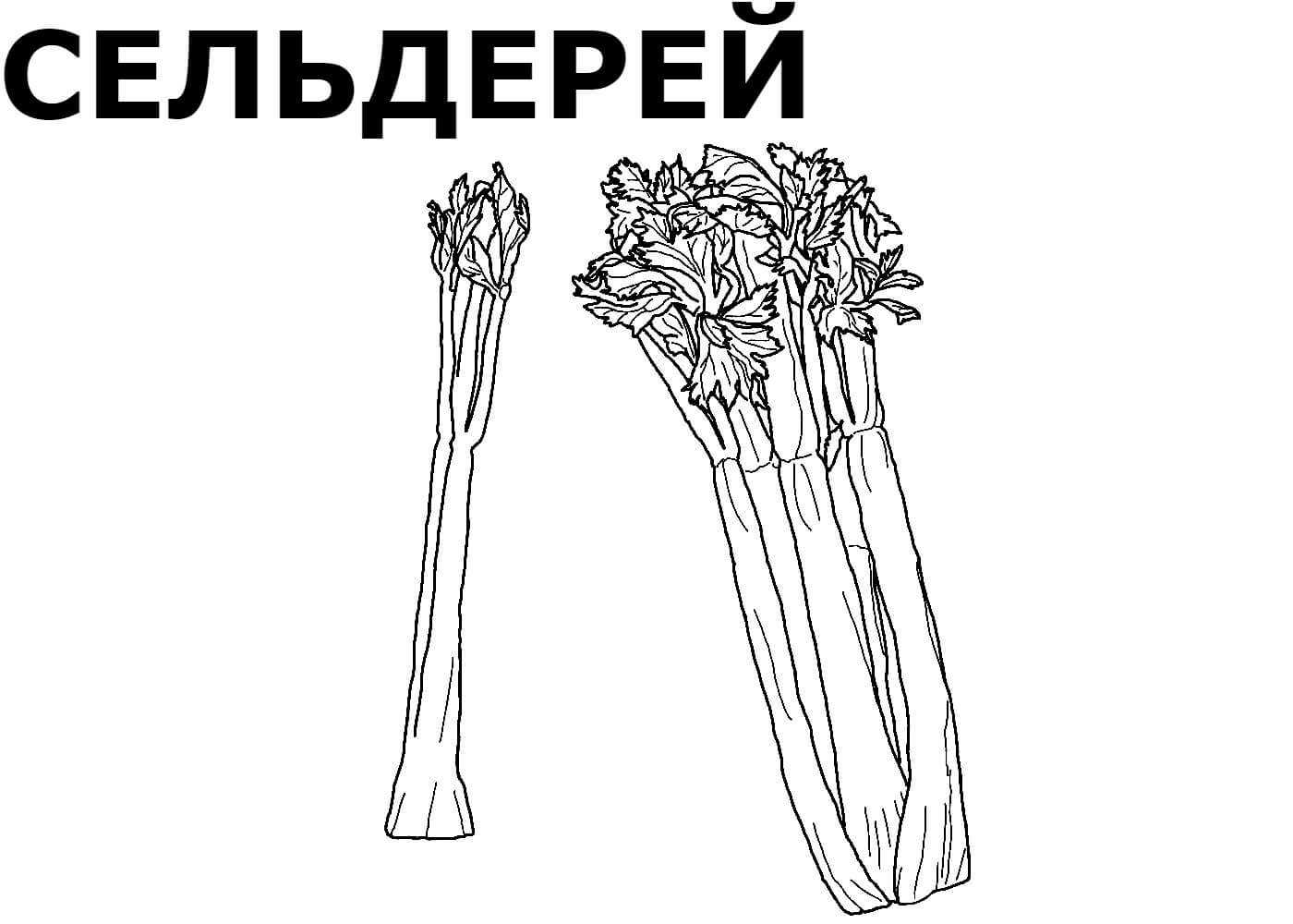 Овощи картинки для детей, развивающие карточки по методике домана «вундеркинд с пеленок» скачать бесплатно для изучения овощей и зелени
