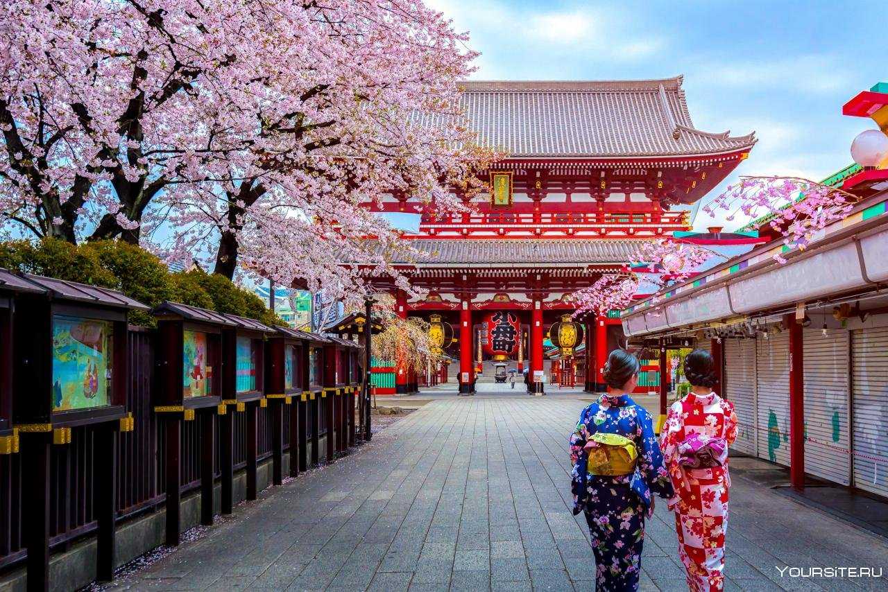 Япония (japan) | раскраски для детей: 52 разукрашки