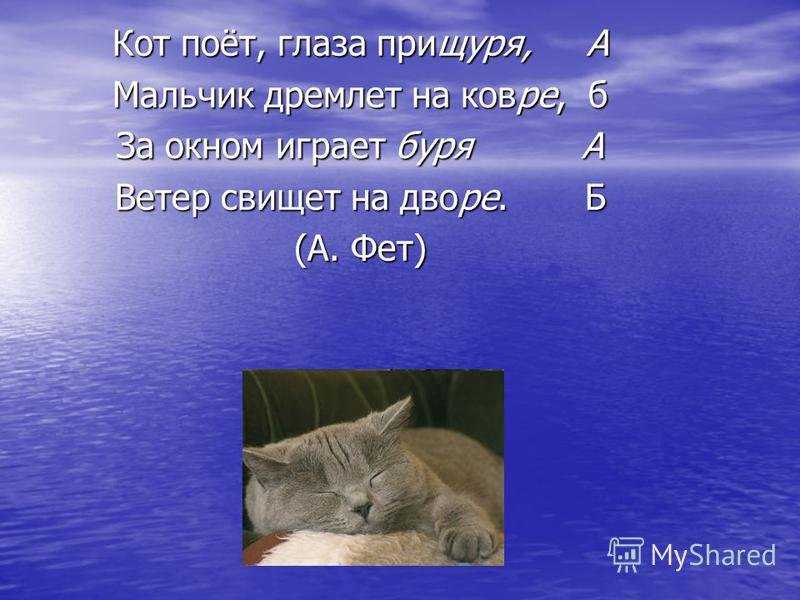 Из разборов лирики а.а. фета: «кот поет, глаза прищуря»