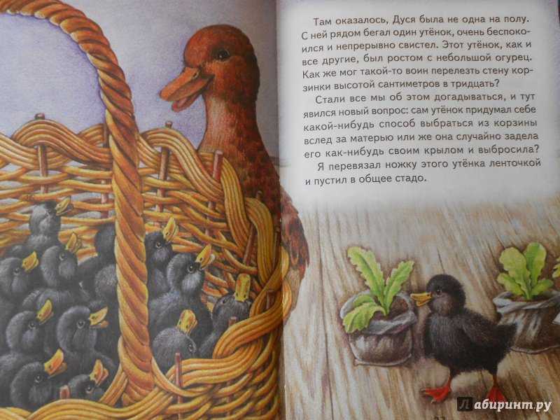 Чему учит рассказ еж пришвин для читательского дневника