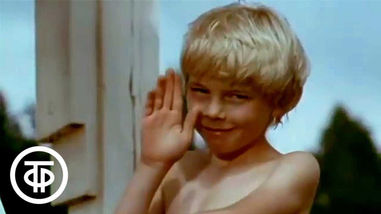 Всем, всем, всем, (в.шаинский)
						по секрету всему свету