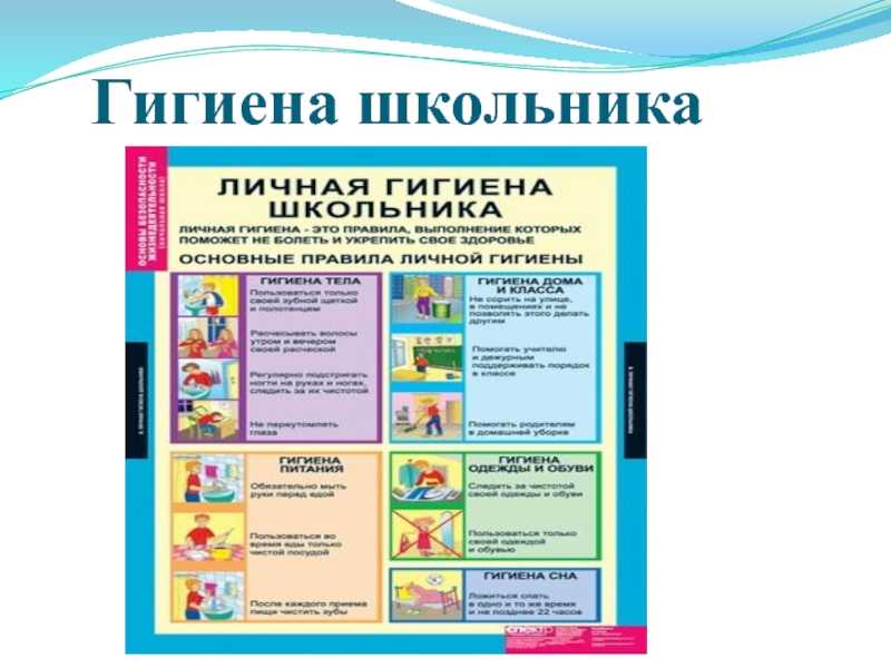 Познавательный материал для школьников. правила личной гигиены