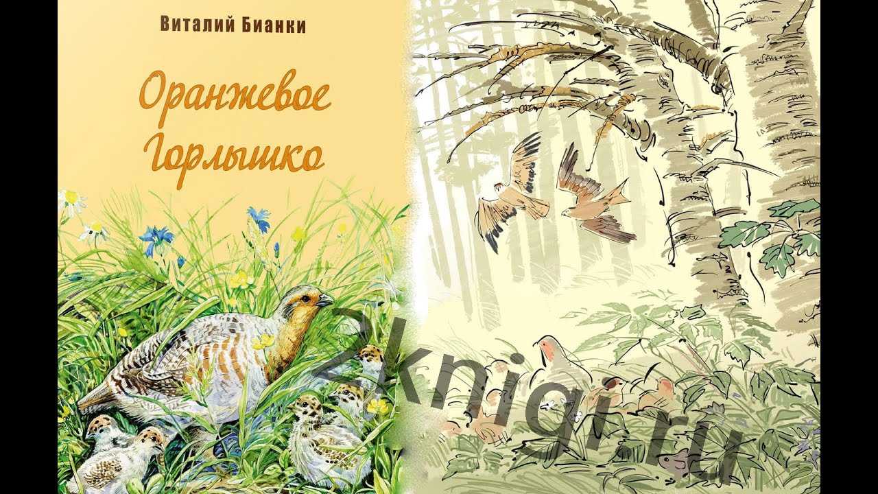 Сказка «оранжевое горлышко» читать