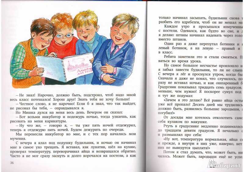«мишкина каша»