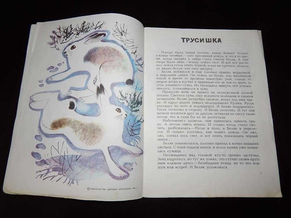 Русак