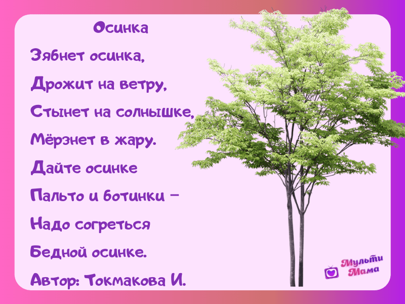 Стихи про деревья для детей