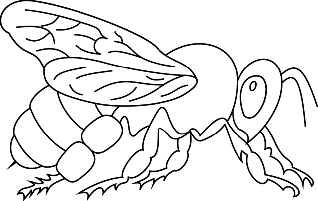 Раскраски пчелы - для печати - kids drawing hub
