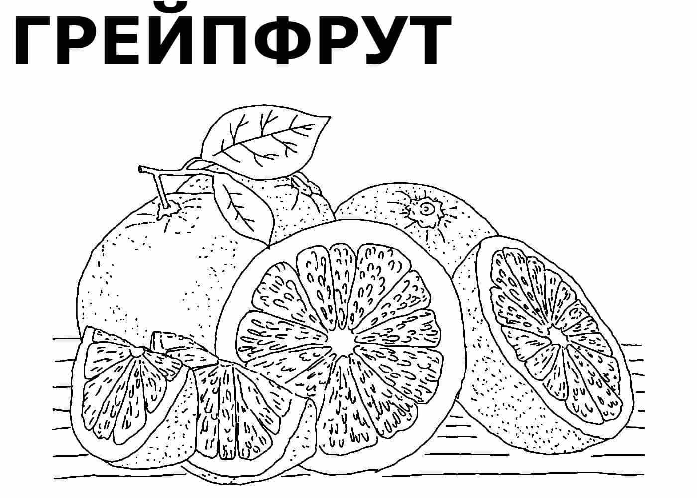 Картинки фруктов и овощей для детей раскраски. раскраска для детей овощи распечатать бесплатно.
