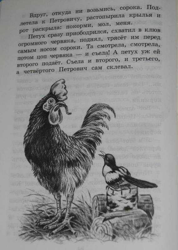 Георгий скребицкий - лесной голосок (сборник) » книги читать онлайн бесплатно без регистрации страница 2