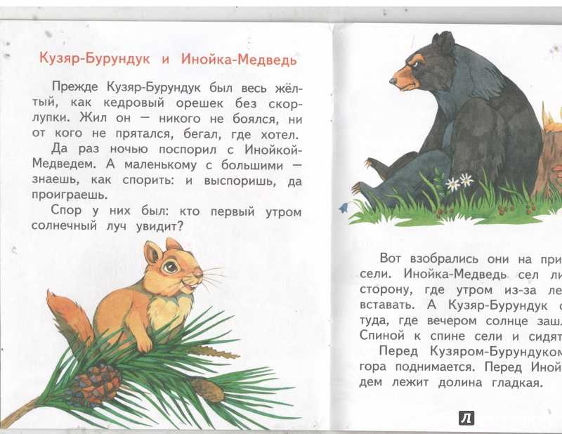Чему учит рассказ виталия бианки "музыкант" | какой смысл