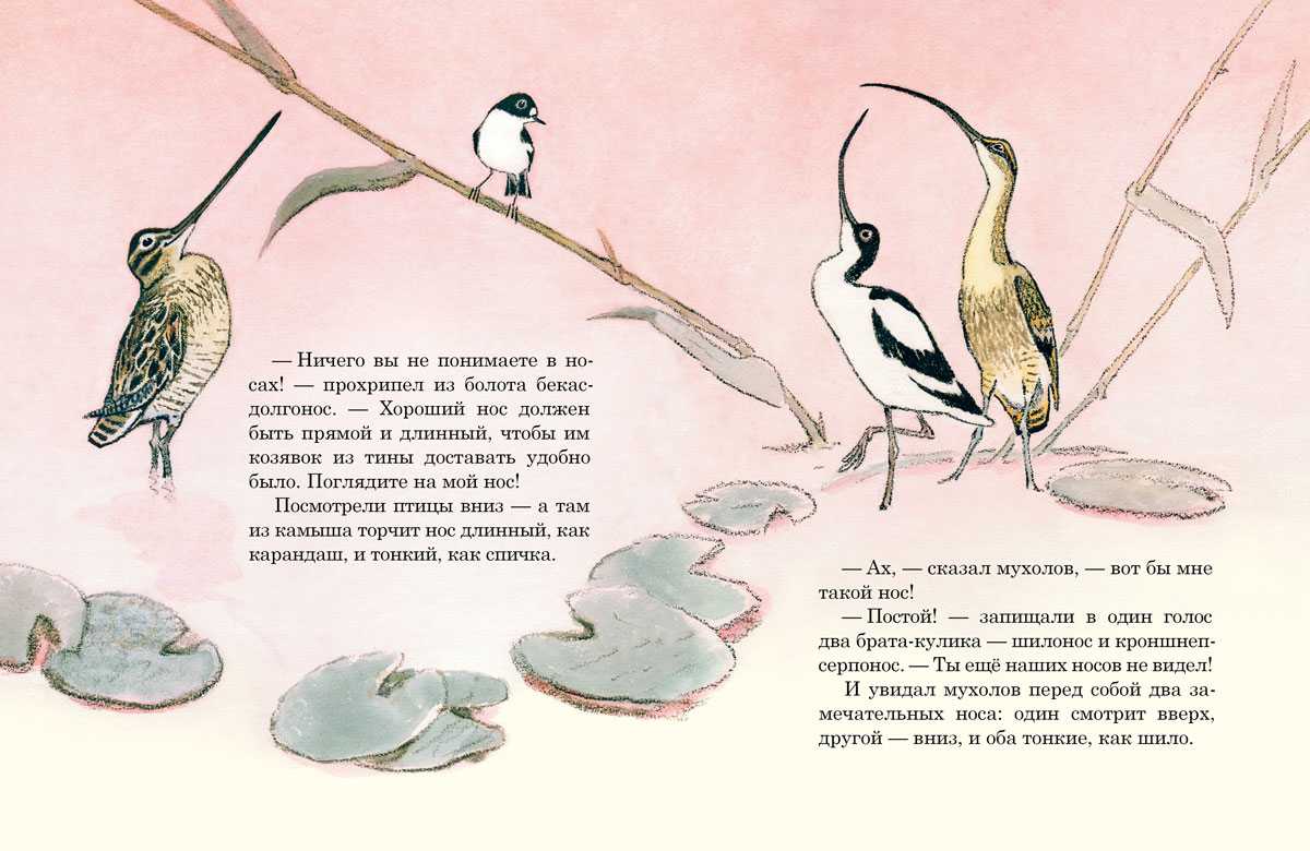 Бианки в.в. – чей нос лучше |  развивайка
