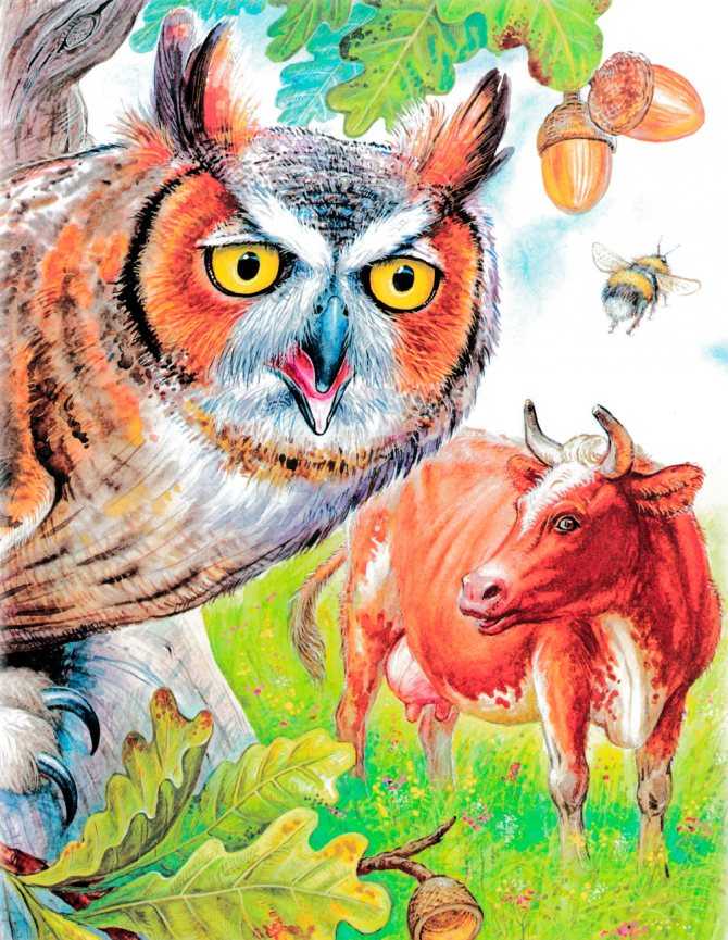 Сказка «сова» — виталий бианки