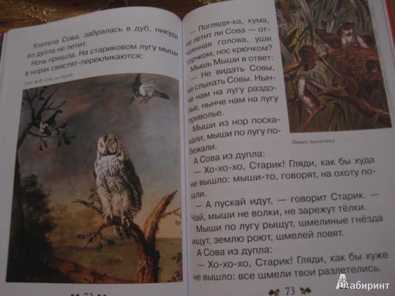 «сова» виталий бианки