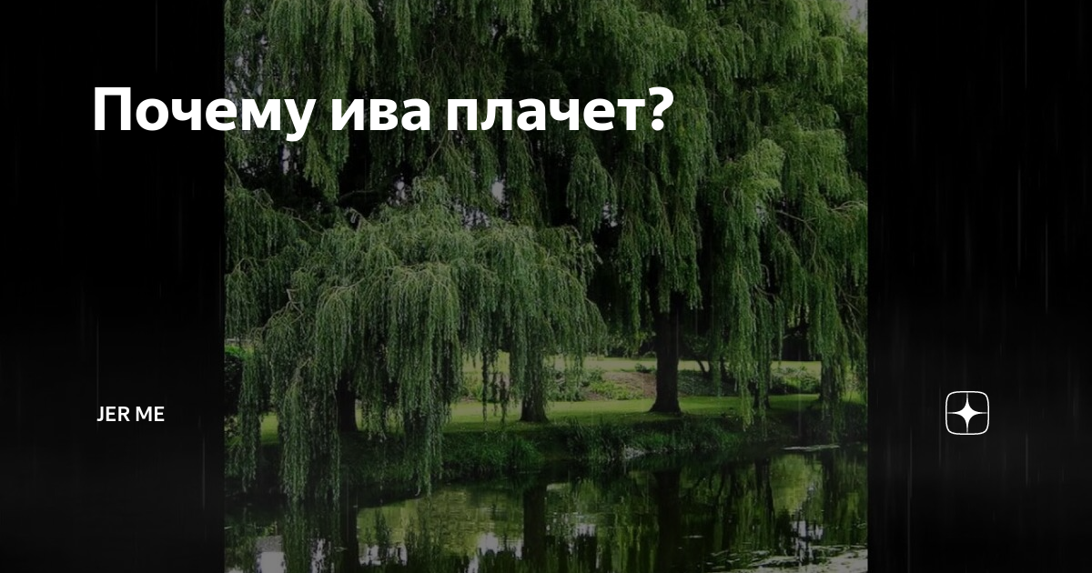 Ива