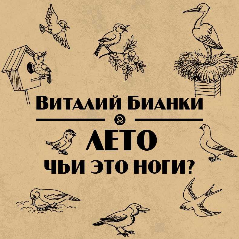 Скачать песню виталий бианки - чьи это ноги? бесплатно и слушать онлайн | zvyki.com