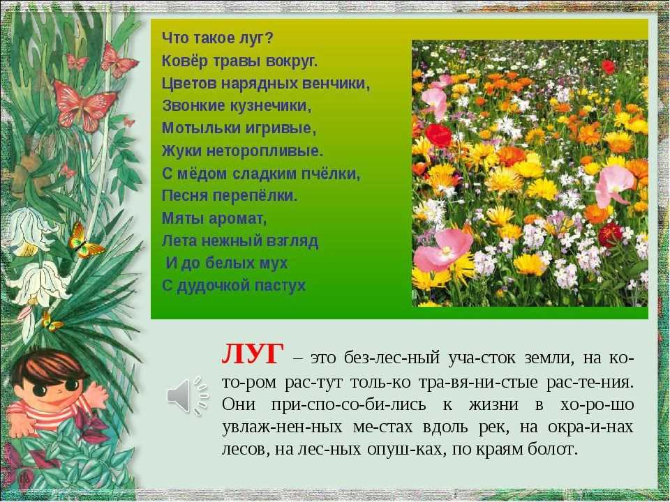 Раскраски Клевер – знакомят маленьких художников с одним из видов луговых цветов, широко распространенных по всему миру Мы собрали для детей замечательную коллекцию раскрасок Клевера, которые вы можете бесплатно скачать или распечатать для них