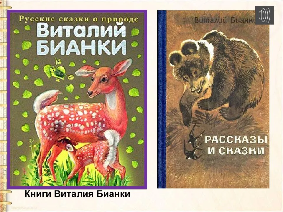 В. бианки латка читать онлайн или скачать pdf и doc