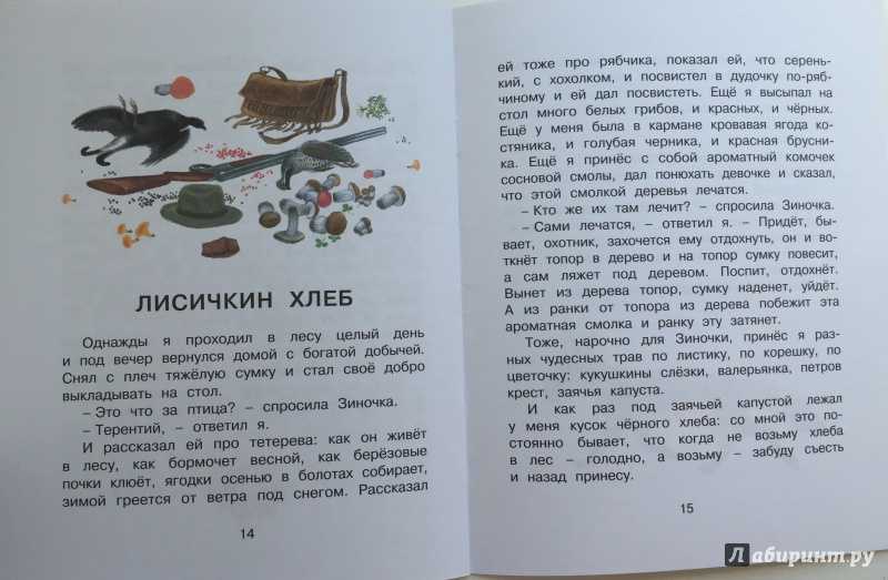 Рассказ «лисичкин хлеб» для читательского дневника. рассказ «лисичкин хлеб» для читательского дневника