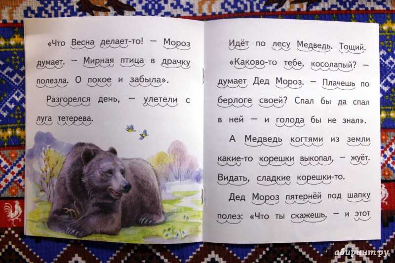 Слушайте с удовольствием аудио рассказ Виталия Заяц, Косач, Медведь и Весна Поучительная аудио история о лесных жителях