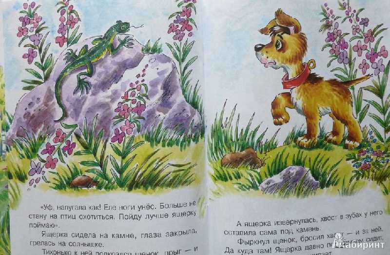Первая охота - читать рассказ бианки онлайн