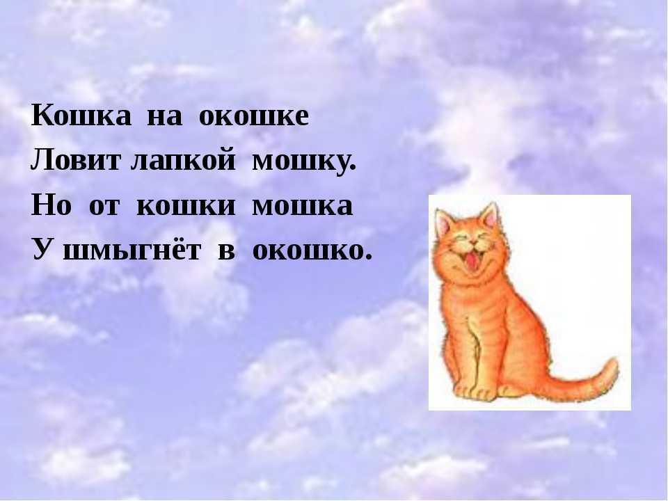 Стихи про кошек, котов