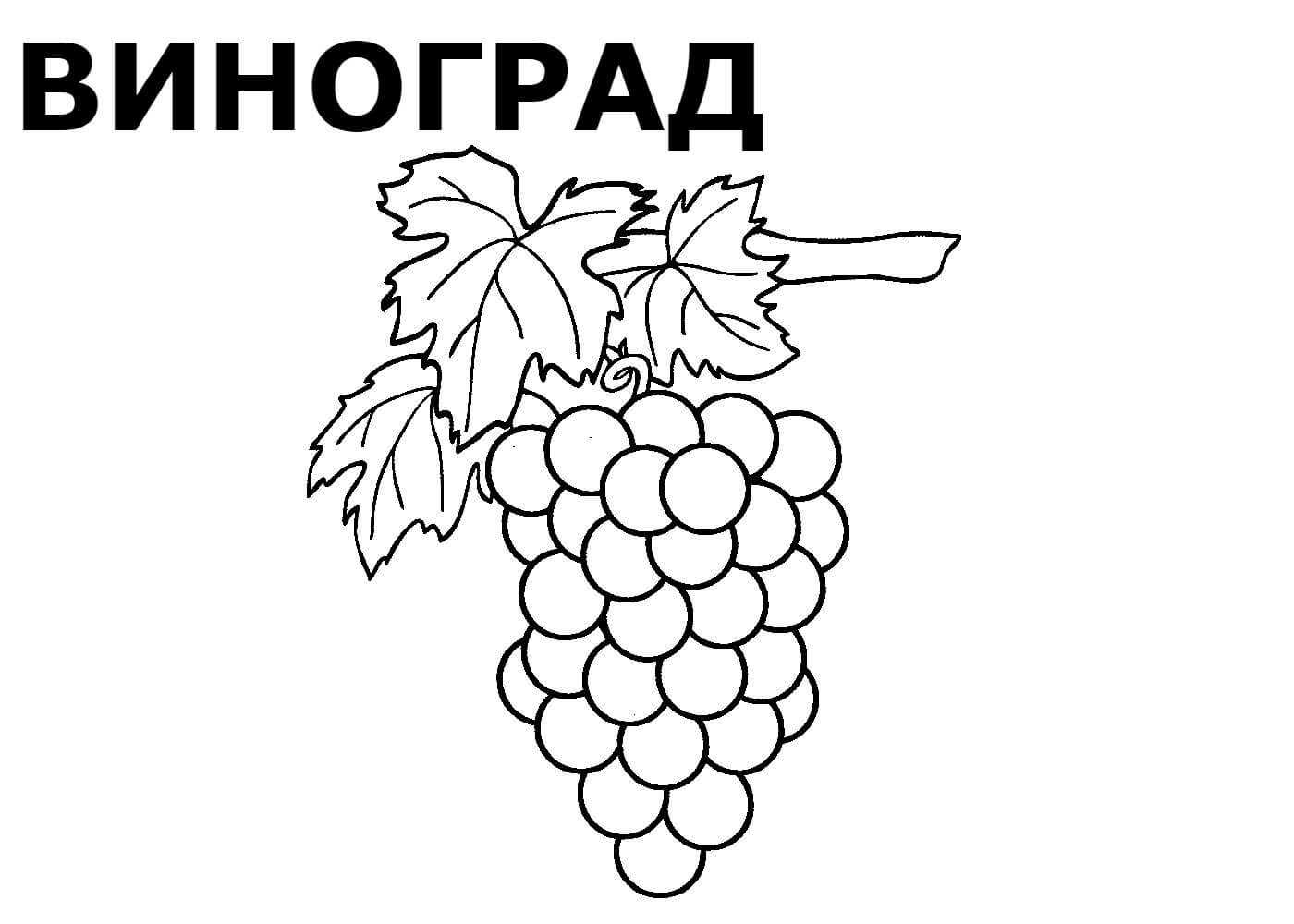 Раскраски еда для детей — скачать и распечатать бесплатно