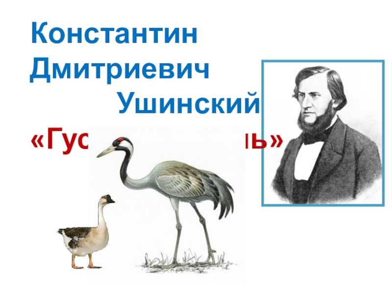 Викторина по произведениям ушинского с ответами для детей начальной школы