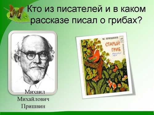 Аудиосказка Старый гриб; автор Михаил Пришвин; Читает Николай Литвинов; Режиссер НСубботин; Мелодия, 1977 год Слушайте детские аудиосказки и аудиокниги