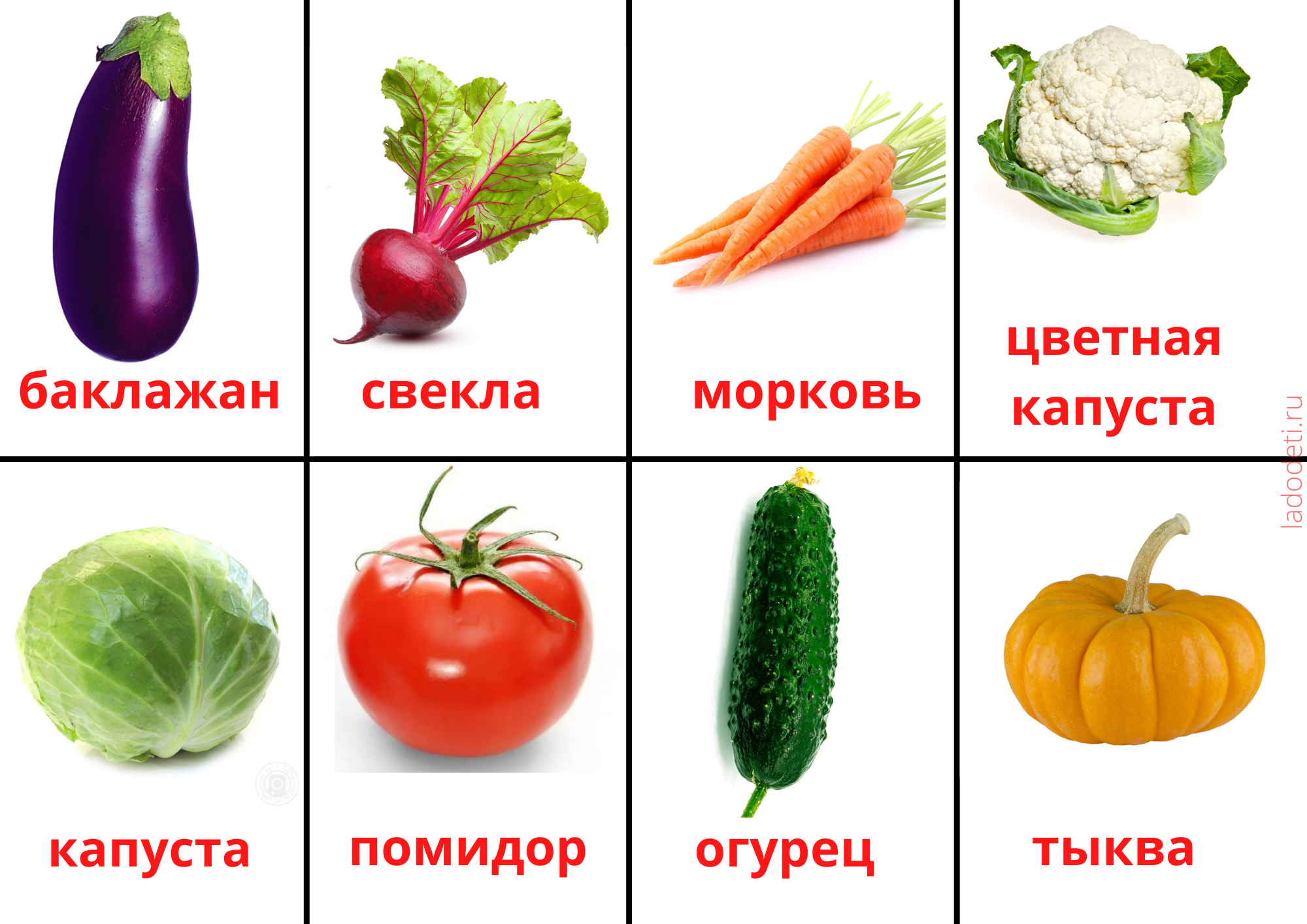 Карточки Домана Для Самых Маленьких Купить