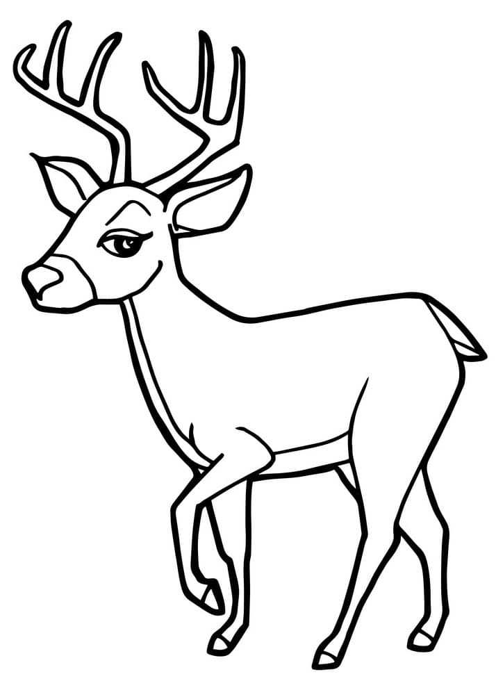 Раскраски олени - для печати - kids drawing hub