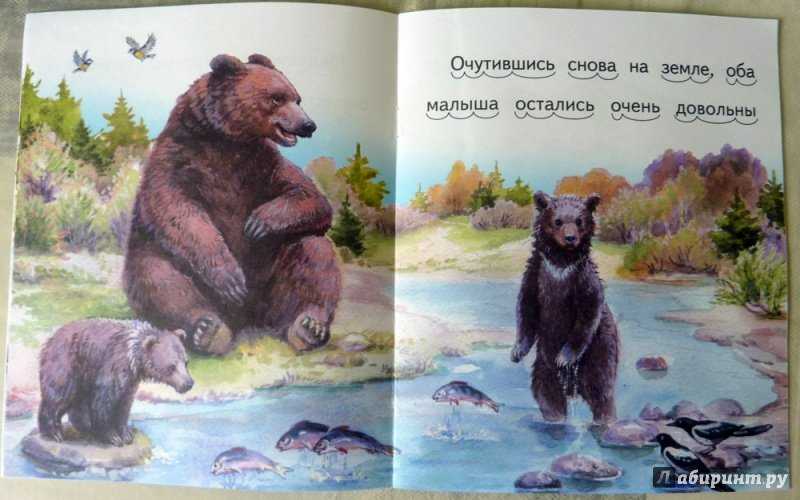 Бианки рассказы купание. Иллюстрации к рассказу купание медвежат Бианки. Купание медвежат Бианки. Произведения Бианки купание медвежат. Рассказ Бианки купание медвежат.