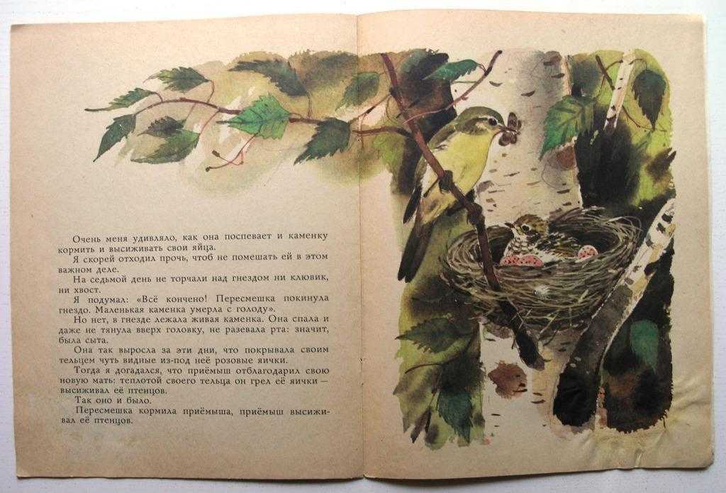 «лесная газета» - книга виталия бианки для читательского дневника
