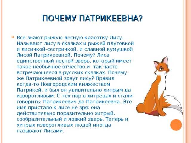 Лиса-лапотница: качества, которые мы в себе не принимаем