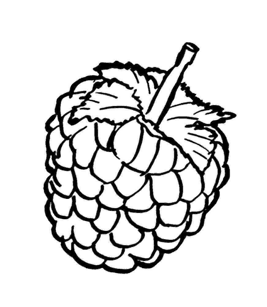 Малина ((raspberries)) | раскраски для детей 20 разукрашек