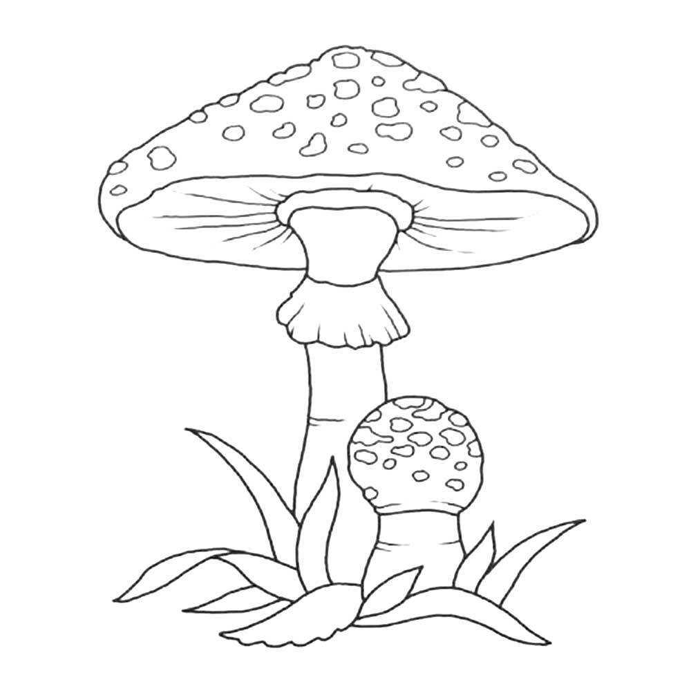 Раскраска грибы для детей с названиями: раскраски грибы – распечатать в формате а4 – всё о детях – беременность, воспитание, уроки для детей