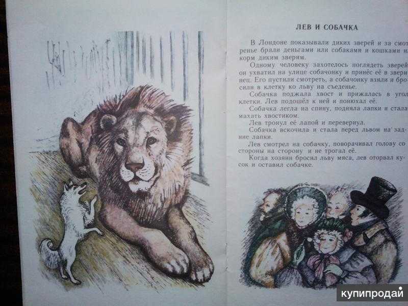 Лев толстойлев и собачка. рассказы и сказки русских писателей о животных