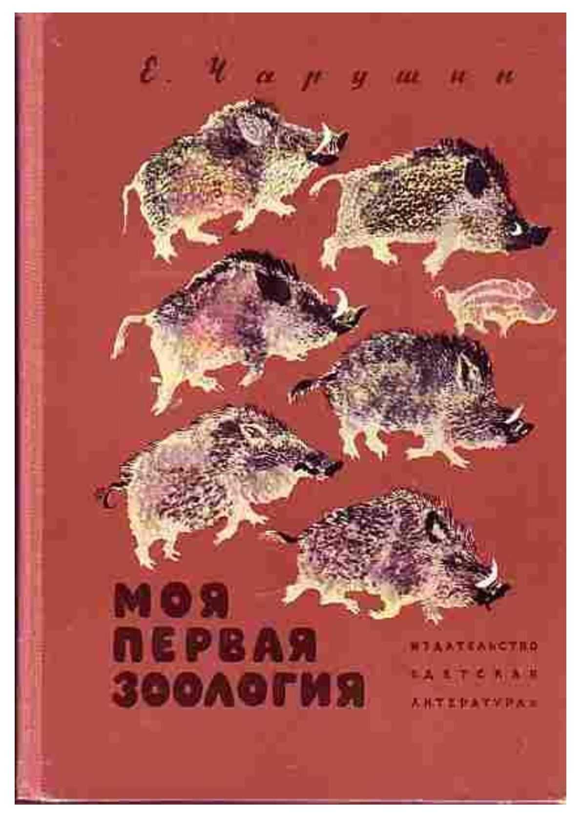 Моя первая зоология читать. Книга моя первая Зоология Чарушин. Чарушин моя первая Зоология.