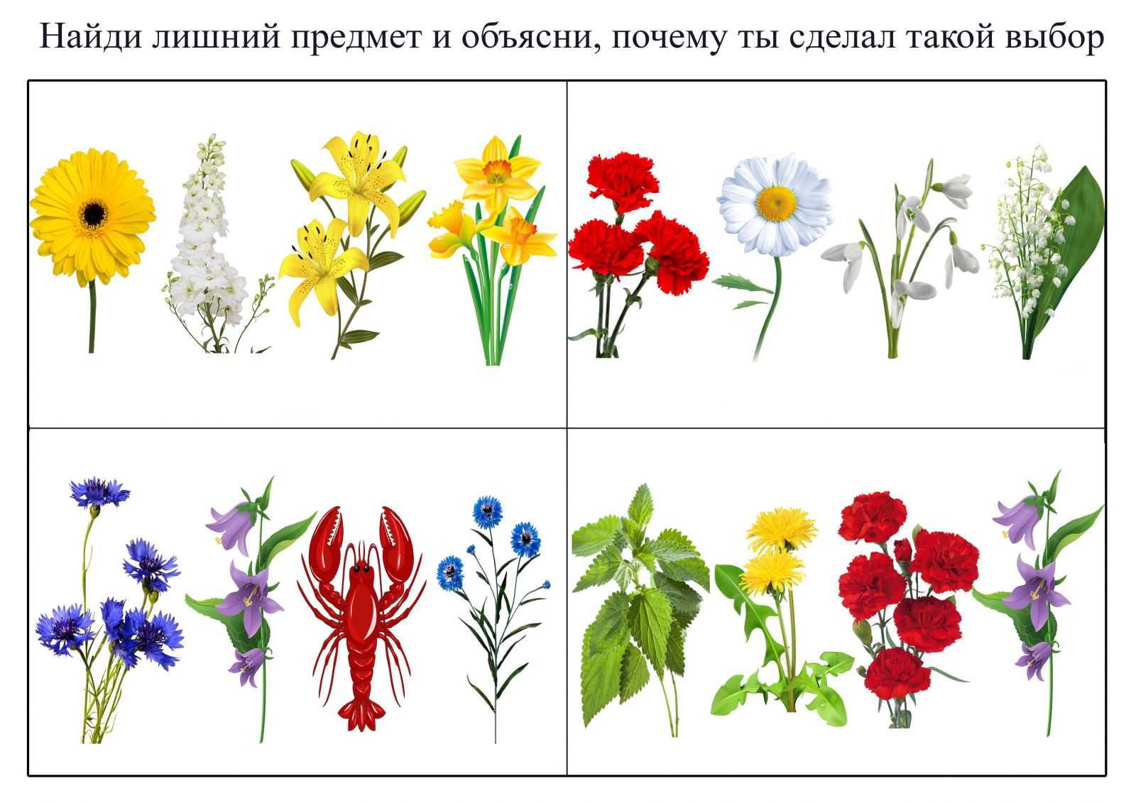 Раскраски цветы – распечатать или скачать