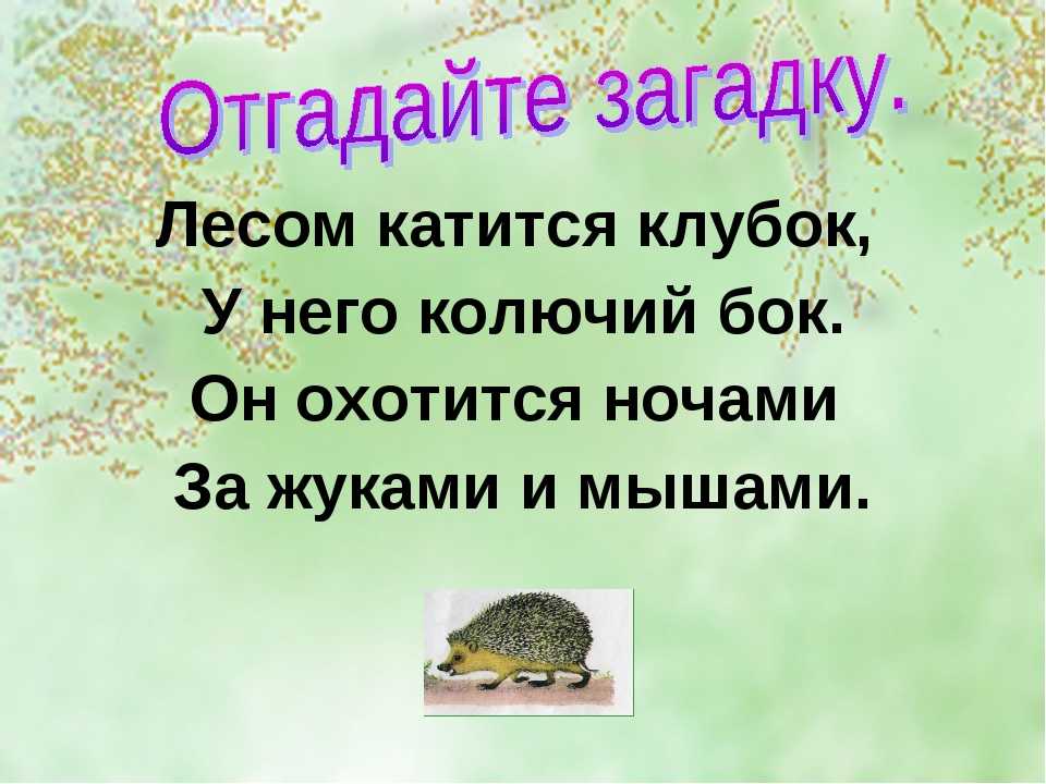 Евгений чарушин страшный рассказ презентация 2 класс