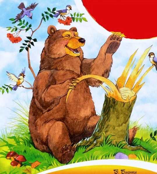 Музыкант — читать с картинками — бианки виталий ✍ библиотека школьника > электронный ресурс